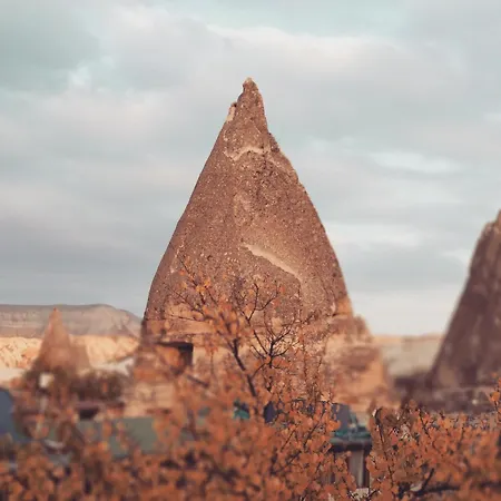 Maison d'hôtes Ufuk